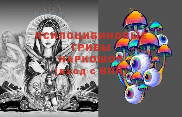 крисы Арсеньев
