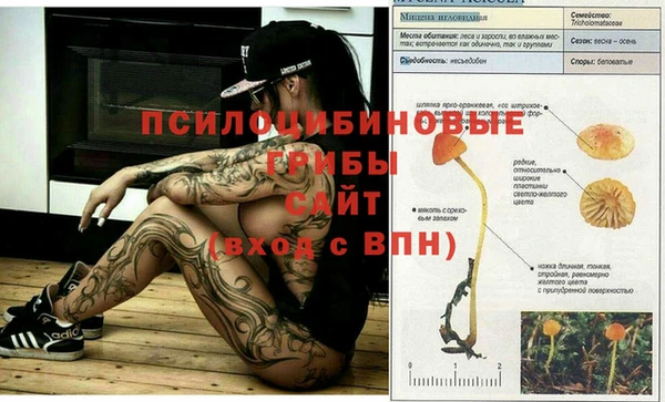 твердый Армянск