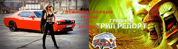твердый Армянск