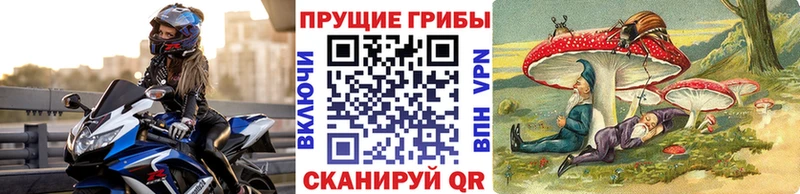 Псилоцибиновые грибы ЛСД  Медногорск 